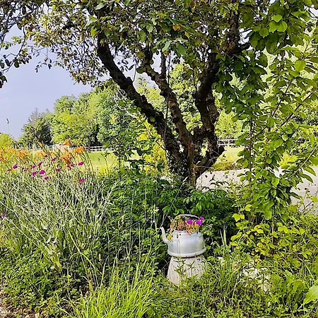 Le Clos Des Collieres Marcollin